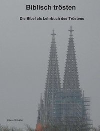 bokomslag Biblisch trsten