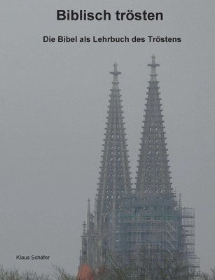 Klaus Schäfer - Biblisch trösten, Häftad