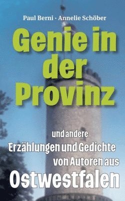 bokomslag Genie in der Provinz