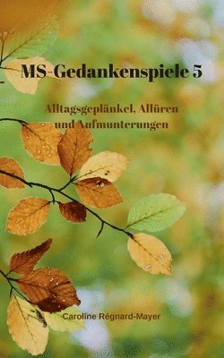 bokomslag MS - Gedankenspiele V