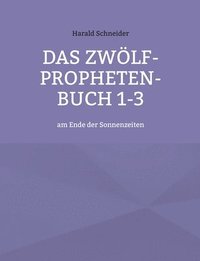 bokomslag Das Zwlf-Propheten-Buch 1-3