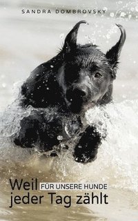 bokomslag Weil für unsere Hunde jeder Tag zählt
