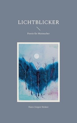 Hans-Jürgen Sträter - Lichtblicker, Häftad