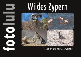 bokomslag Wildes Zypern