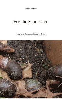 bokomslag Frische Schnecken