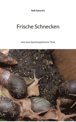 bokomslag Frische Schnecken