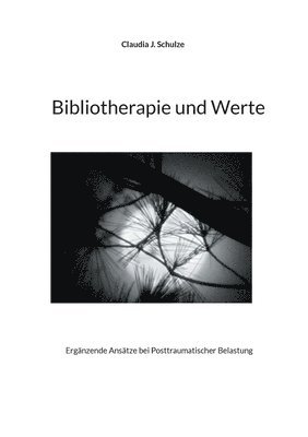 bokomslag Bibliotherapie und Werte