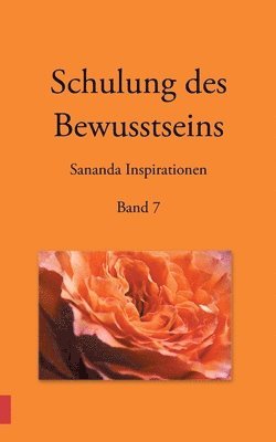 bokomslag Schulung des Bewusstseins - Sananda Inspirationen