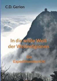 bokomslag In die wilde Welt der Weltreligionen
