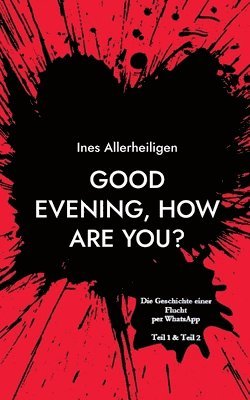 Ines Allerheiligen - Good evening, how are you?, Häftad
