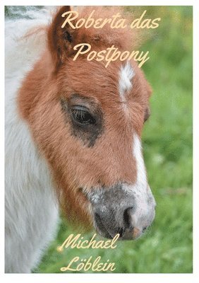 bokomslag Roberta das Postpony