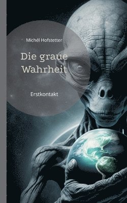 Michél Hofstetter, Michél - graue Wahrheit, Häftad