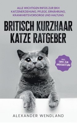 Britisch Kurzhaar Katze Ratgeber 1