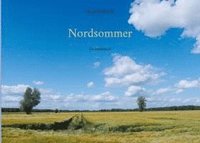 bokomslag Nordsommer