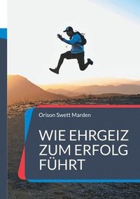 bokomslag Wie Ehrgeiz zum Erfolg führt: und zu einem höheren Ziel im Leben