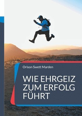 bokomslag Wie Ehrgeiz zum Erfolg fhrt