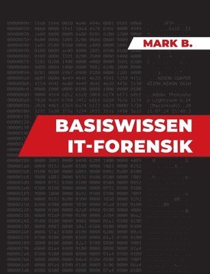 bokomslag Basiswissen IT Forensik