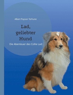 bokomslag Lad, geliebter Hund