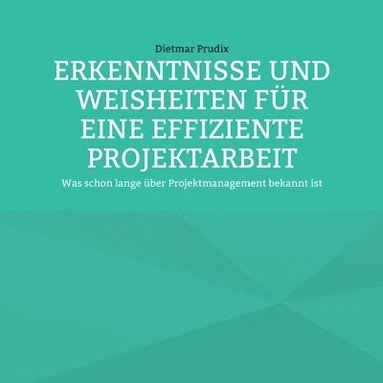 bokomslag Erkenntnisse Und Weisheiten Fr Eine Effiziente Projektarbeit