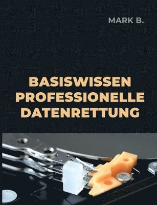 bokomslag Basiswissen professionelle Datenrettung