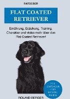 Flat Coated Retriever 1