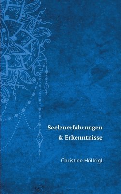 bokomslag Seelenerfahrungen & Erkenntnisse