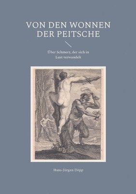Hans-Jürgen Döpp - Von den Wonnen der Peitsche, Häftad