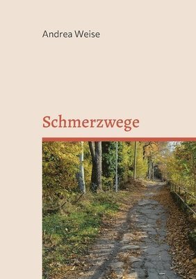 bokomslag Schmerzwege