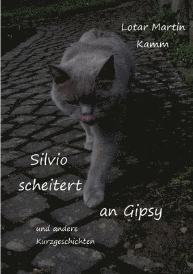 bokomslag Silvio scheitert an Gipsy