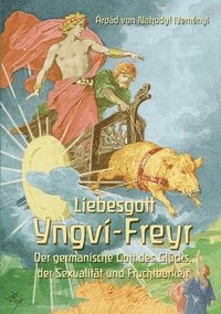 bokomslag Liebesgott Yngvi-Freyr