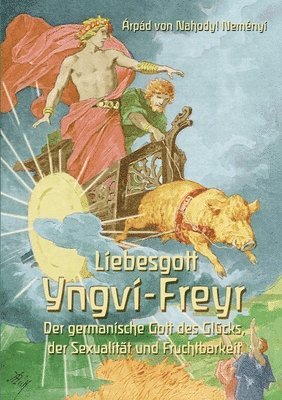 bokomslag Liebesgott Yngvi-Freyr