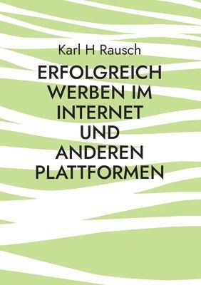 bokomslag Erfolgreich werben im Internet und anderen Plattformen