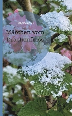 bokomslag Mrchen vom Drachenfluss