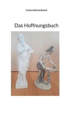 bokomslag Das Hoffnungsbuch