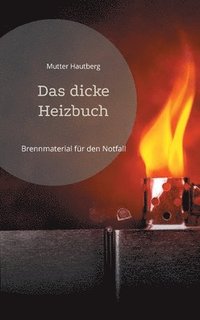 bokomslag Das dicke Heizbuch