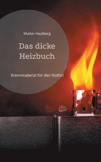 bokomslag dicke Heizbuch