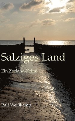 bokomslag Salziges Land