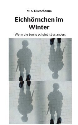 Eichhörnchen im Winter