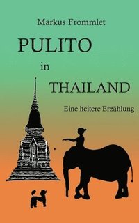bokomslag Pulito in Thailand