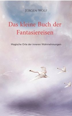 bokomslag kleine Buch der Fantasiereisen
