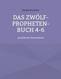 bokomslag Das Zwlf-Propheten-Buch 4-6