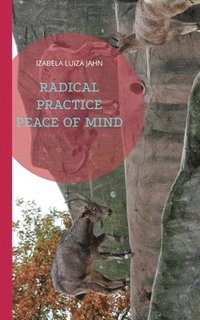 bokomslag Radical Practice Peace of Mind