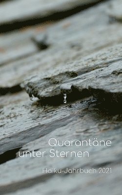 bokomslag Quarantäne unter Sternen
