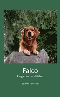 bokomslag Falco