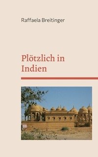 bokomslag Pltzlich in Indien