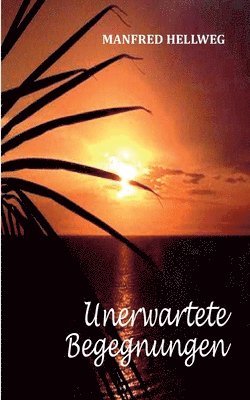 Manfred Hellweg - Unerwartete Begegnungen, Häftad