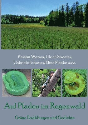Kerstin Werner, Ulrich Straeter, Gabriele Schuster - Auf Pfaden im Regenwald, Häftad
