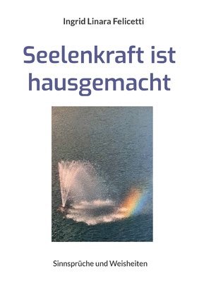 bokomslag Seelenkraft ist hausgemacht