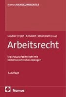 Wolfgang Däubler, Jens Peter Hjort, Michael Schubert, Martin Wolmerath - Arbeitsrecht, Inbunden