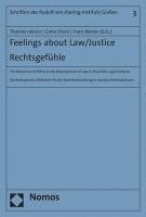 bokomslag Feelings about Law/Justice: The Relevance of Affect to the Development of Law in Pluralistic Legal Cultures: Rechtsgefuhle: Die Relevanz Des Affek